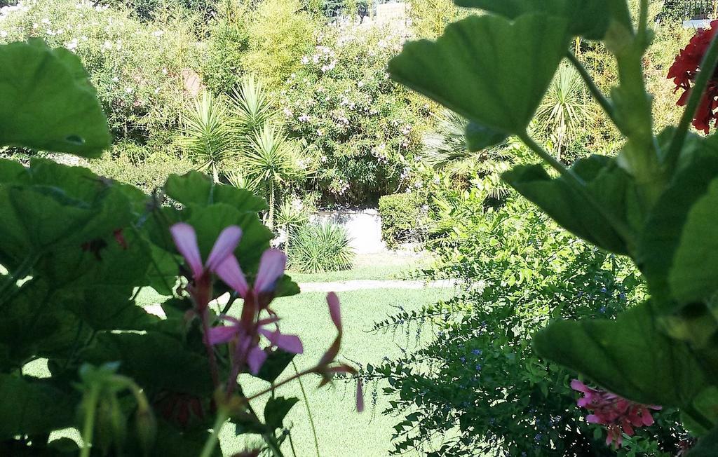 Casa Per Ferie Cardinal G. Guarino Bed and Breakfast Roma Exterior foto